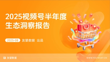 2025年视频号半年度生态洞察报告