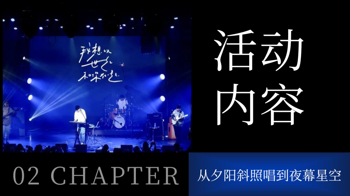 2025夏日海边城市酷辣音乐节活动方案_第10页