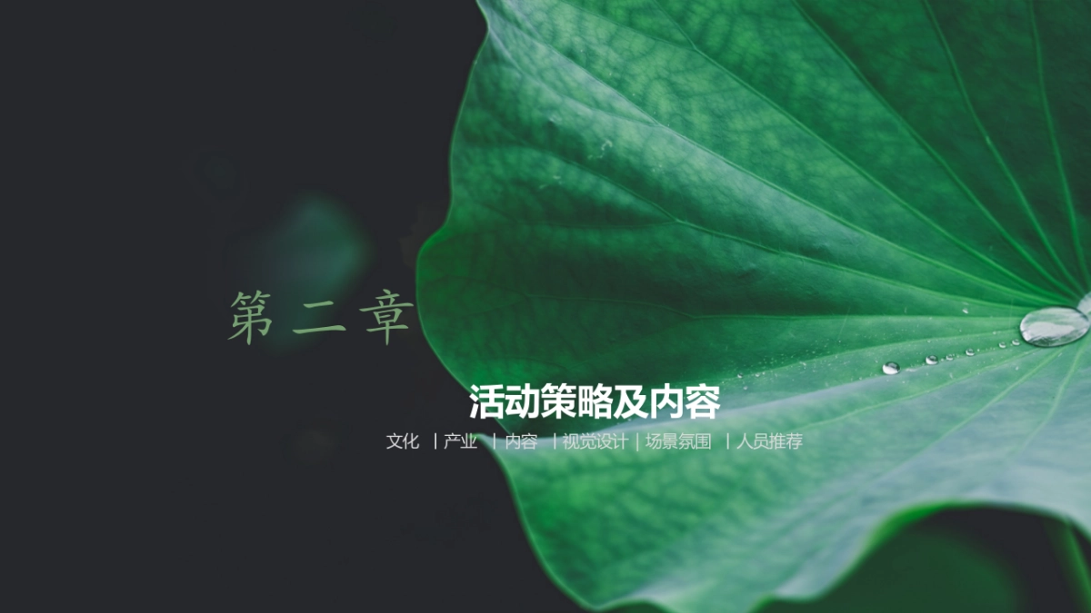 第六届荷花文化节暨第八届山南长庄夜游赏荷会方案_第10页