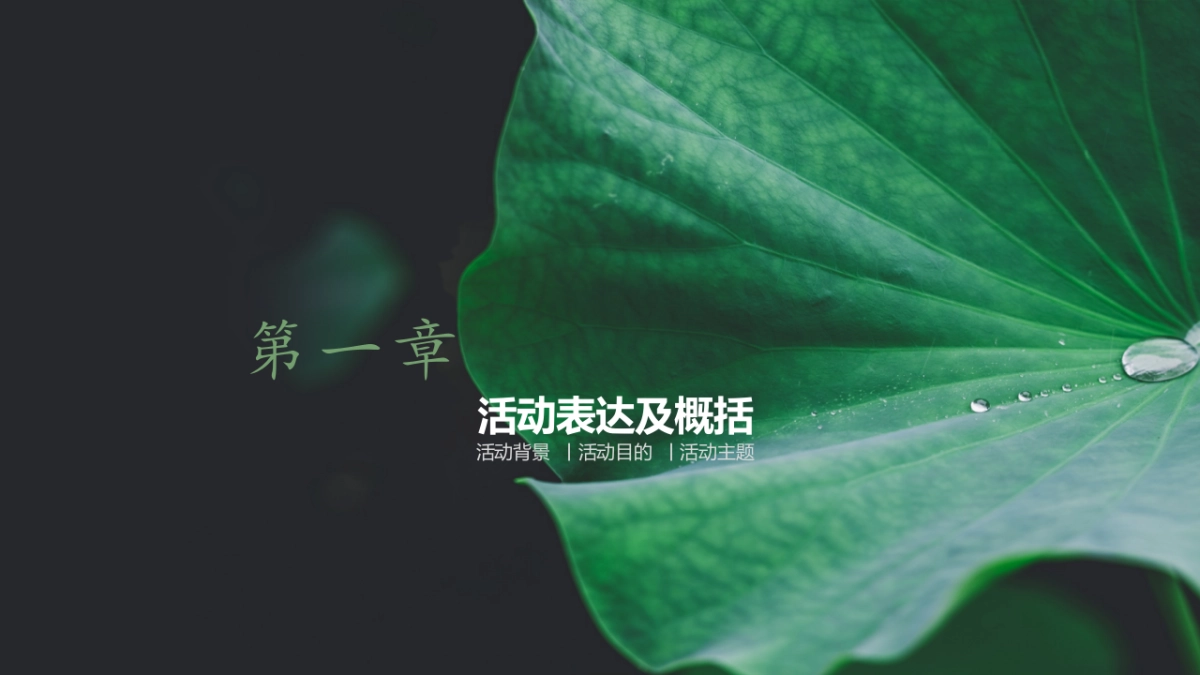 第六届荷花文化节暨第八届山南长庄夜游赏荷会方案_第3页