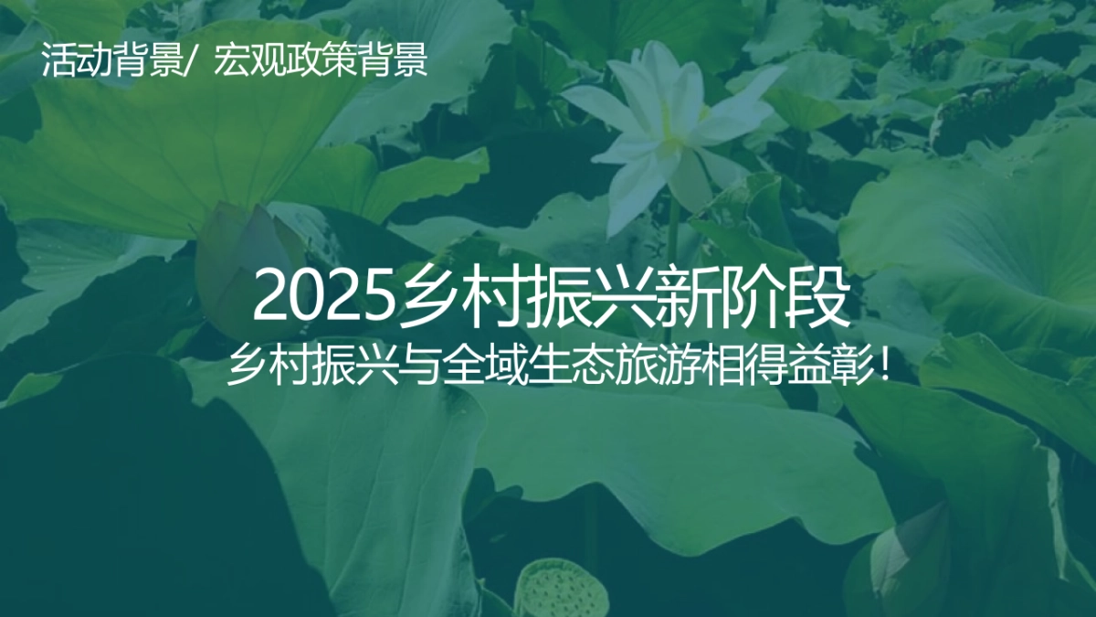 第六届荷花文化节暨第八届山南长庄夜游赏荷会方案_第4页