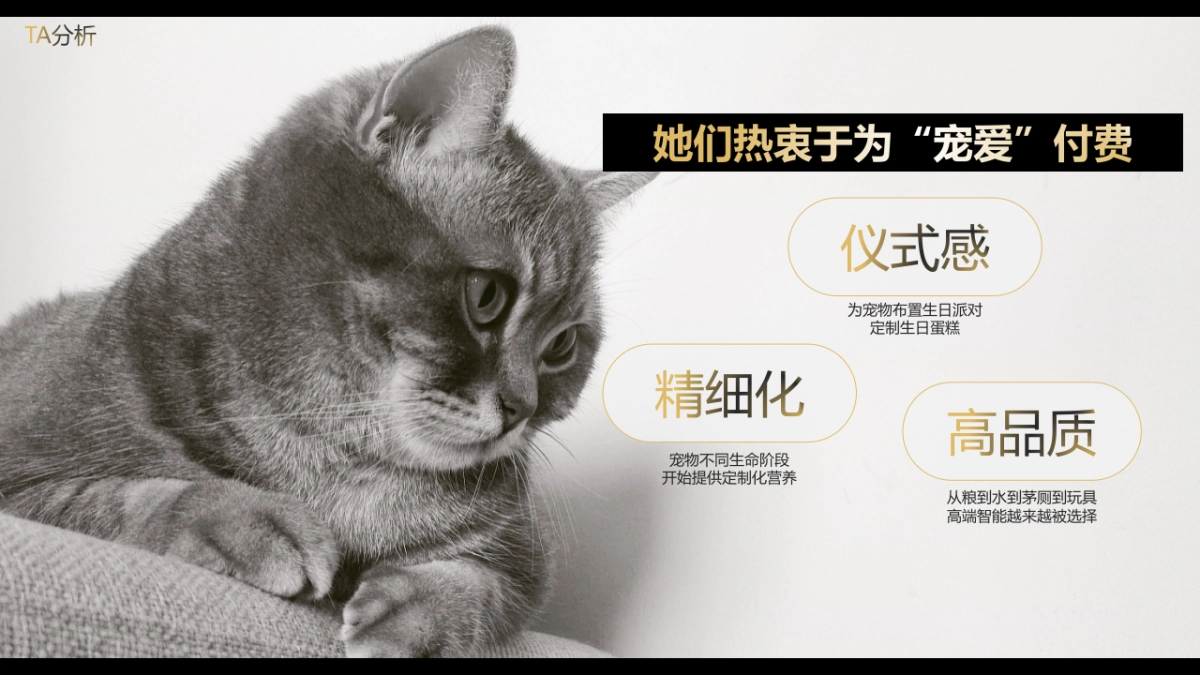 猫粮品牌超级品类日创意营销方案_第3页
