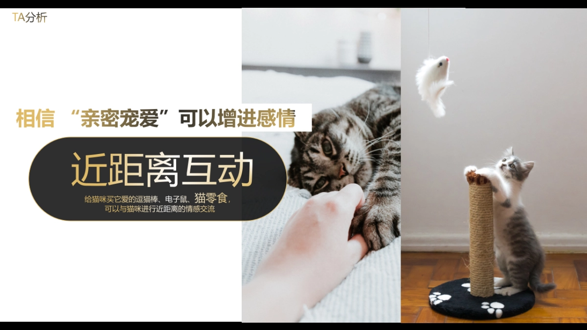 猫粮品牌超级品类日创意营销方案_第4页