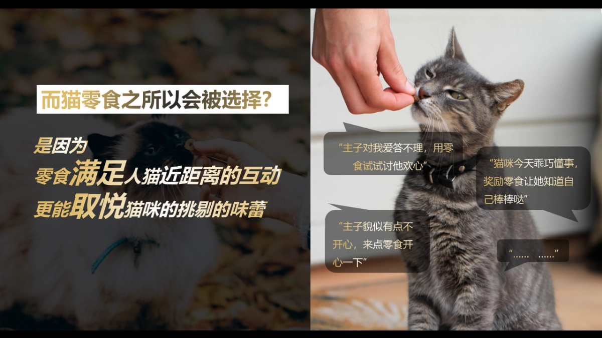 猫粮品牌超级品类日创意营销方案_第5页