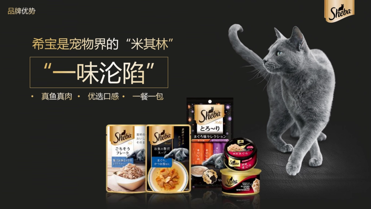 猫粮品牌超级品类日创意营销方案_第6页