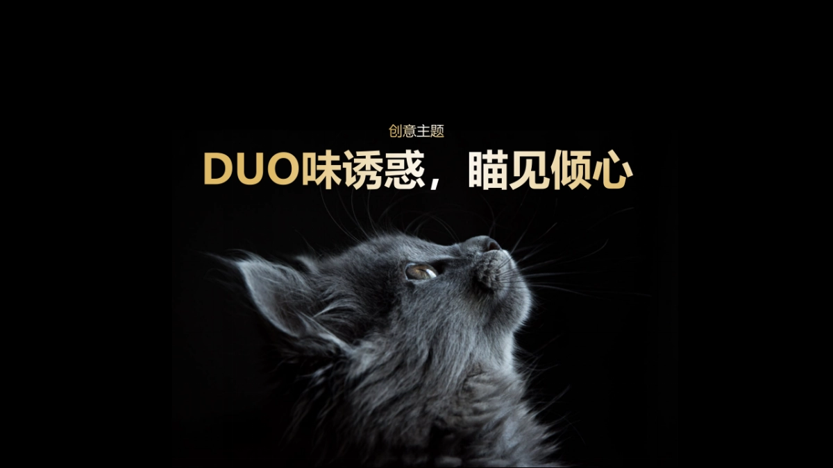 猫粮品牌超级品类日创意营销方案_第9页