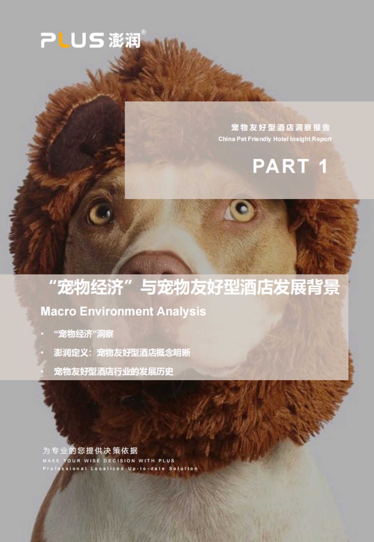 2024年宠物友好型酒店市场洞察报告-澎润研究院_第3页