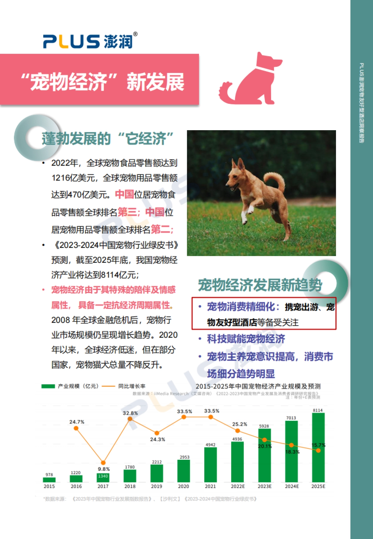 2024年宠物友好型酒店市场洞察报告-澎润研究院_第4页