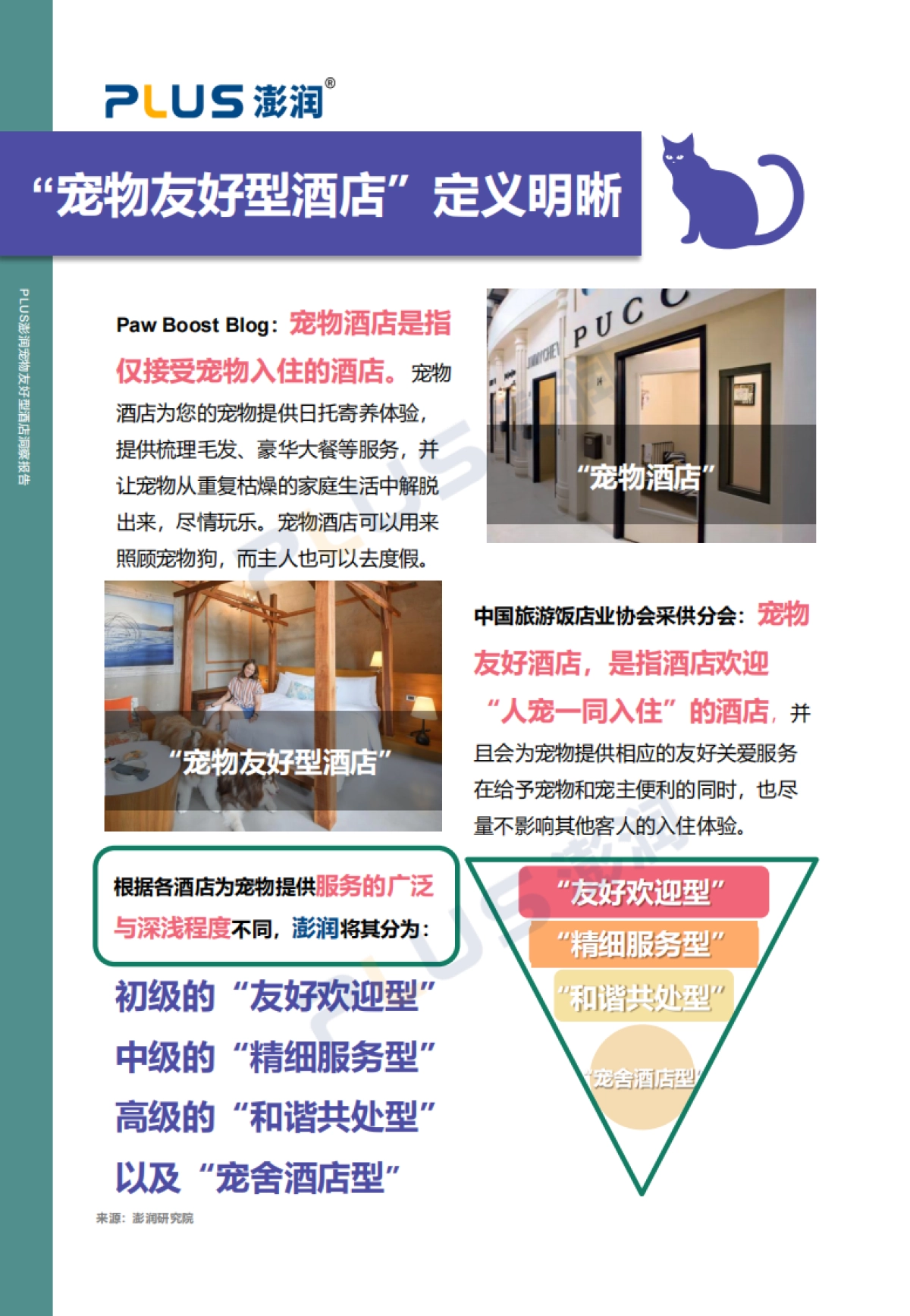 2024年宠物友好型酒店市场洞察报告-澎润研究院_第5页