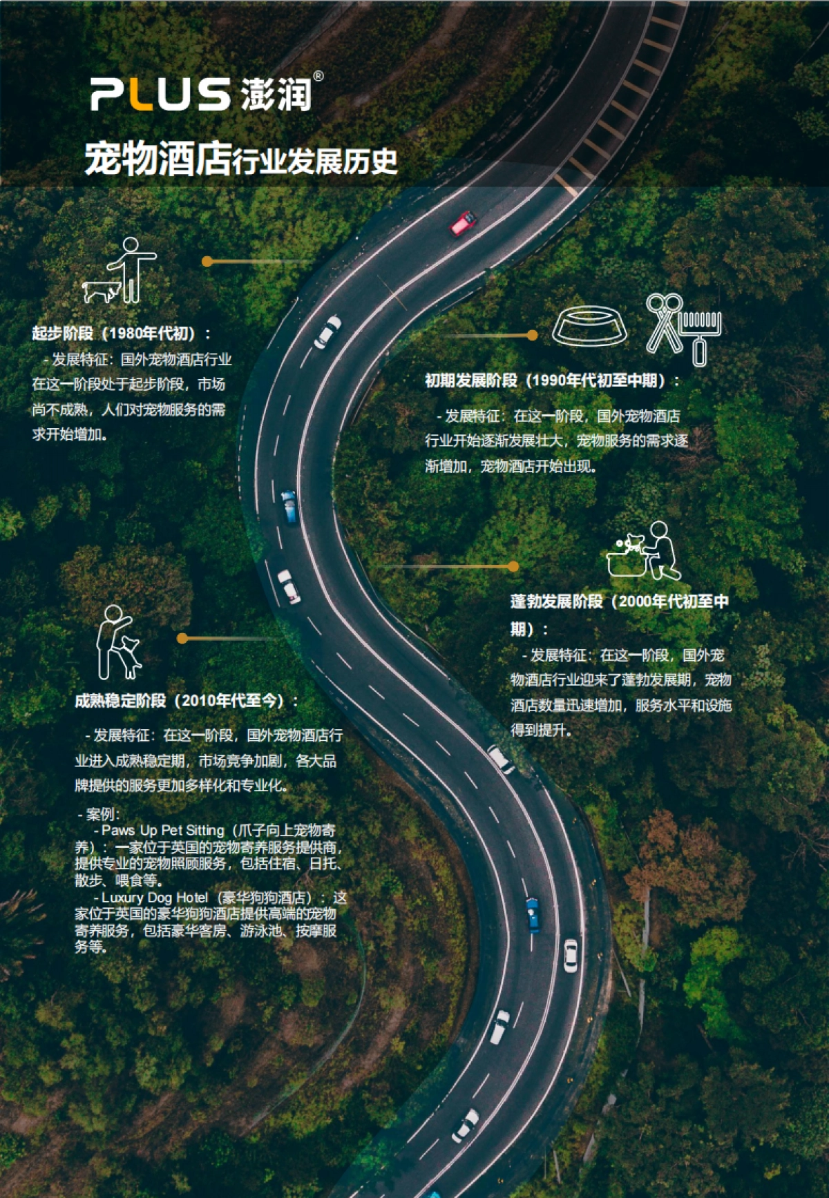 2024年宠物友好型酒店市场洞察报告-澎润研究院_第6页