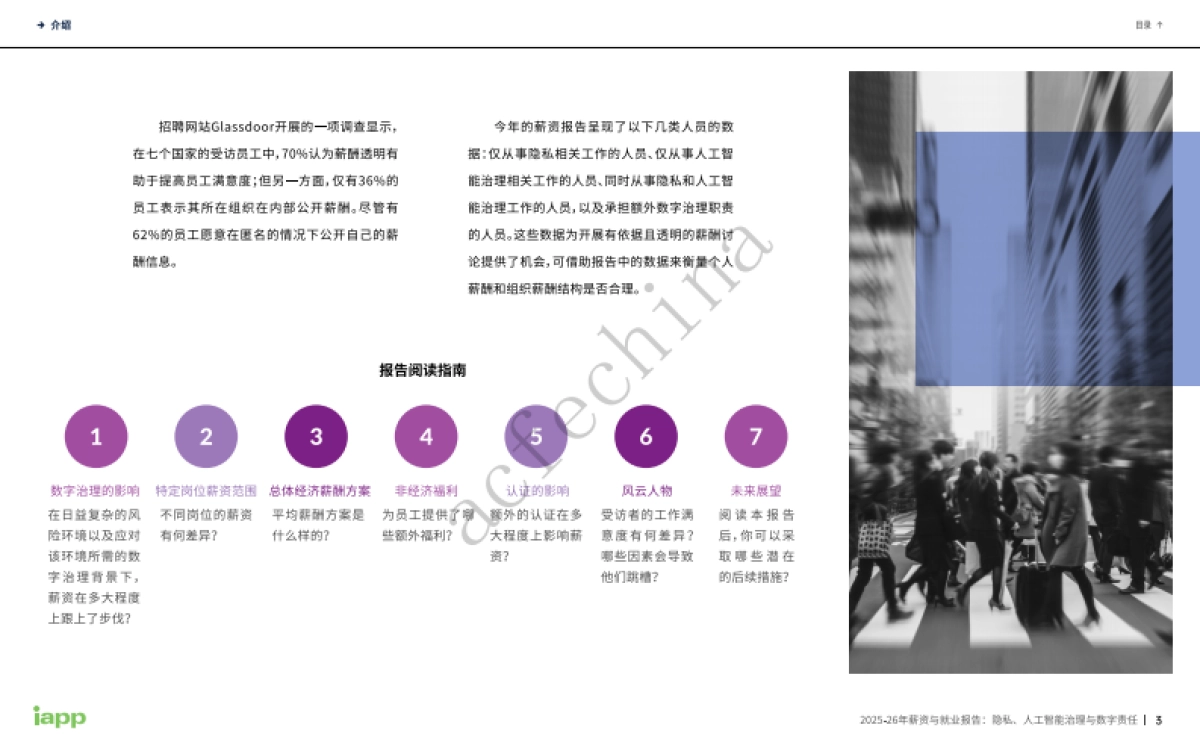 2025-26年薪资与就业报告：隐私、人工智能治理与数字责任-IAPP_第5页
