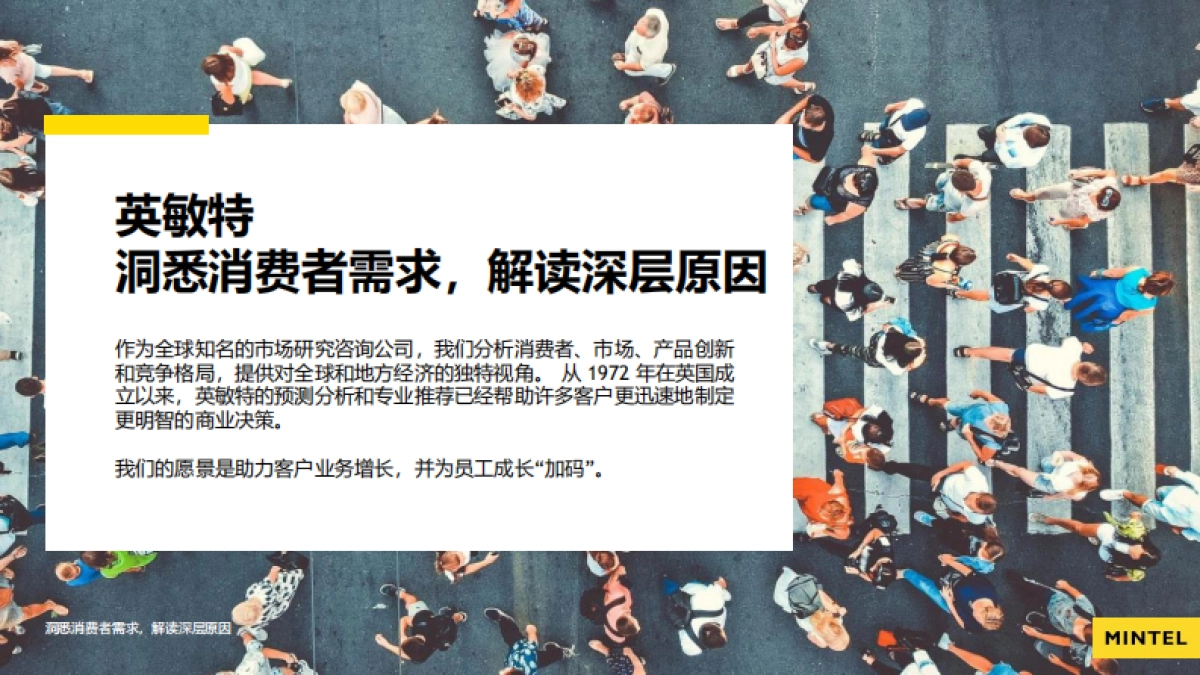 英敏特：大健康、情绪经济、居家经济下的零食创新_第2页