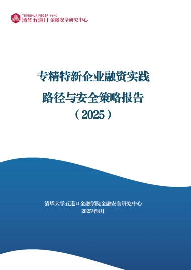 专精特新企业融资实践路径与安全策略报告（2025）-清华五道口