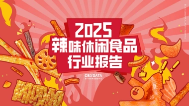 2025年辣味休闲食品行业报告-第一财经商业数据中心