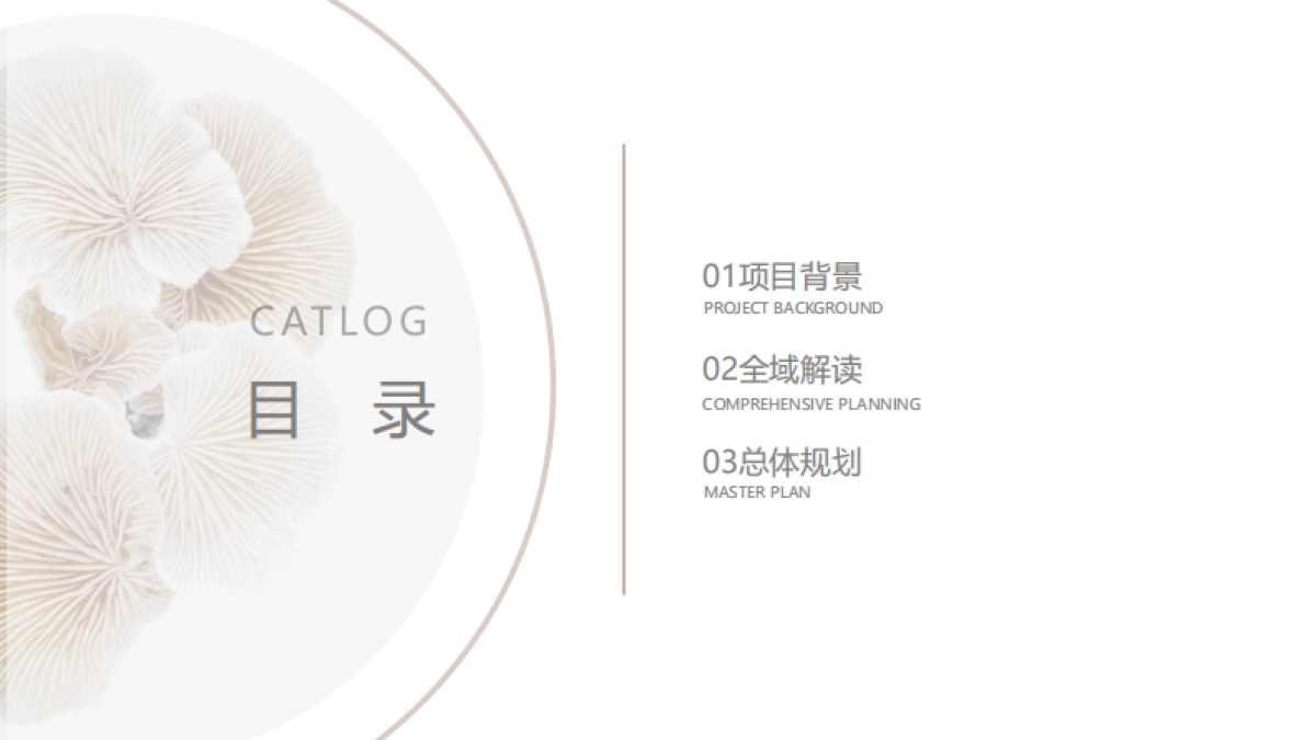 中国蘑菇小镇全域旅游规划_第2页