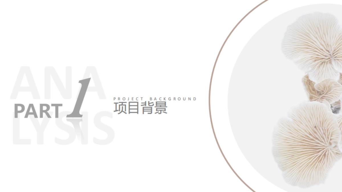 中国蘑菇小镇全域旅游规划_第3页