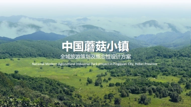 中国蘑菇小镇全域旅游规划