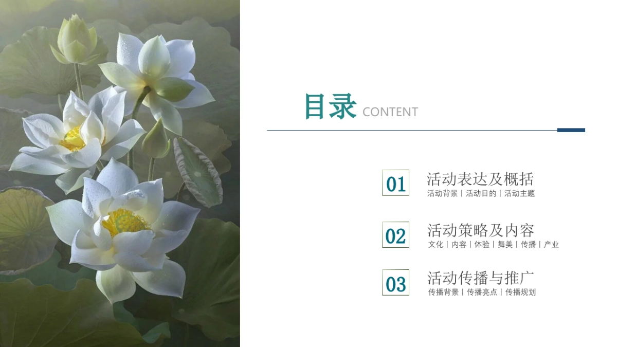 国潮荷花节策划方案+传播推广方案_第2页