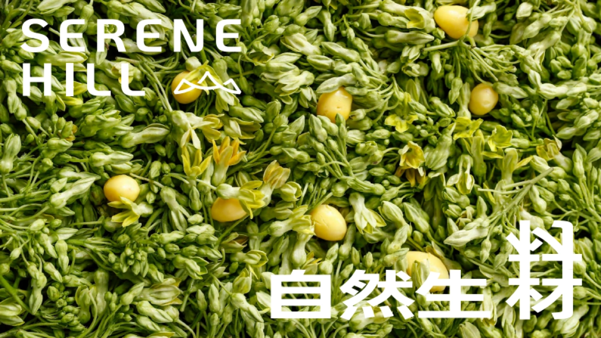 【SERENE HILL 山缓缓】品牌书_第9页