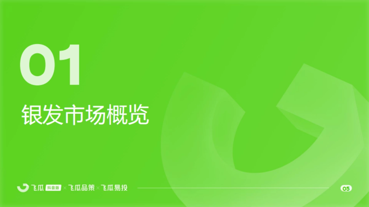2025年飞瓜抖音银发市场线上消费与广告投放洞察报告-飞瓜数据_第6页