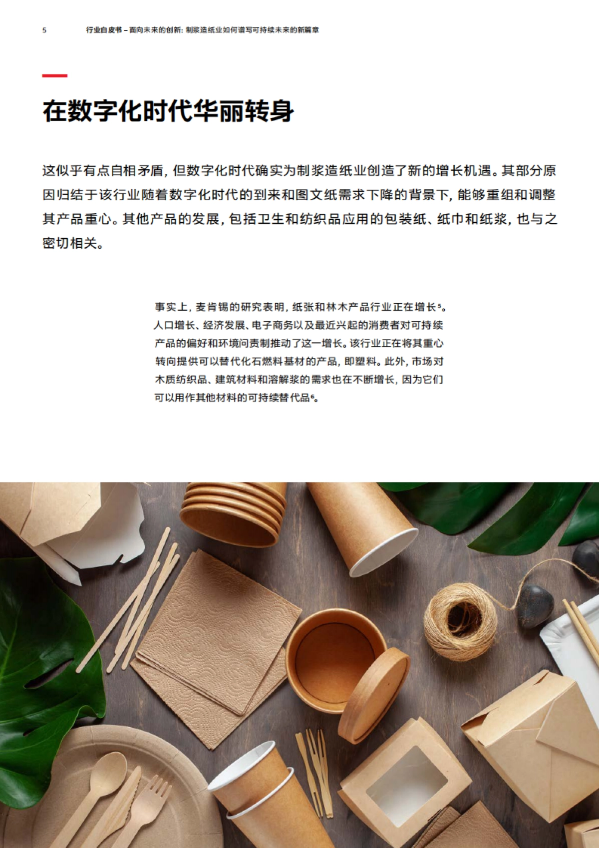 2025年面向未来的创新：制浆造纸业如何谱写可持续未来的新篇章白皮书-ABB_第5页