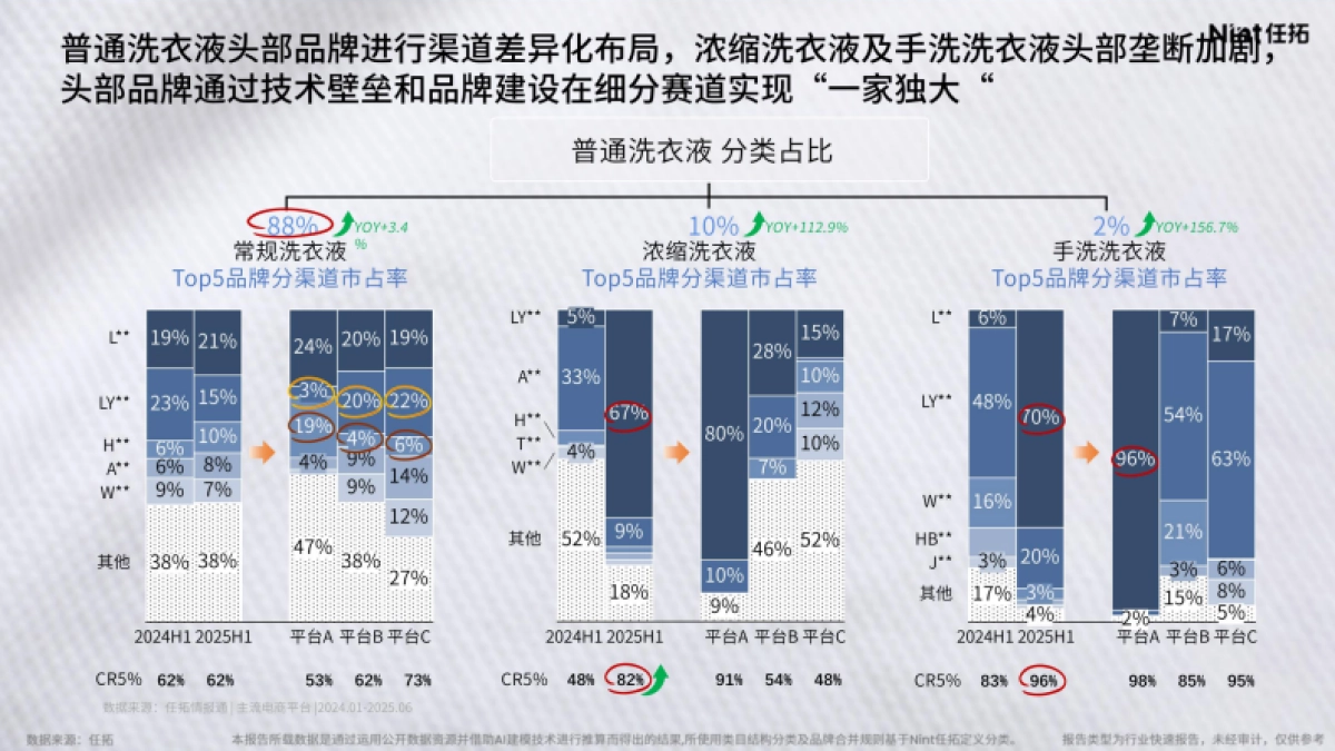 2025年衣物清洁护理行业报告-Nint任拓_第10页