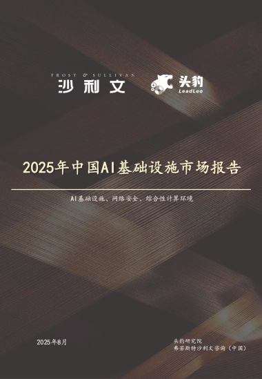 2025年中国AI基础设施报告-沙利文&头豹
