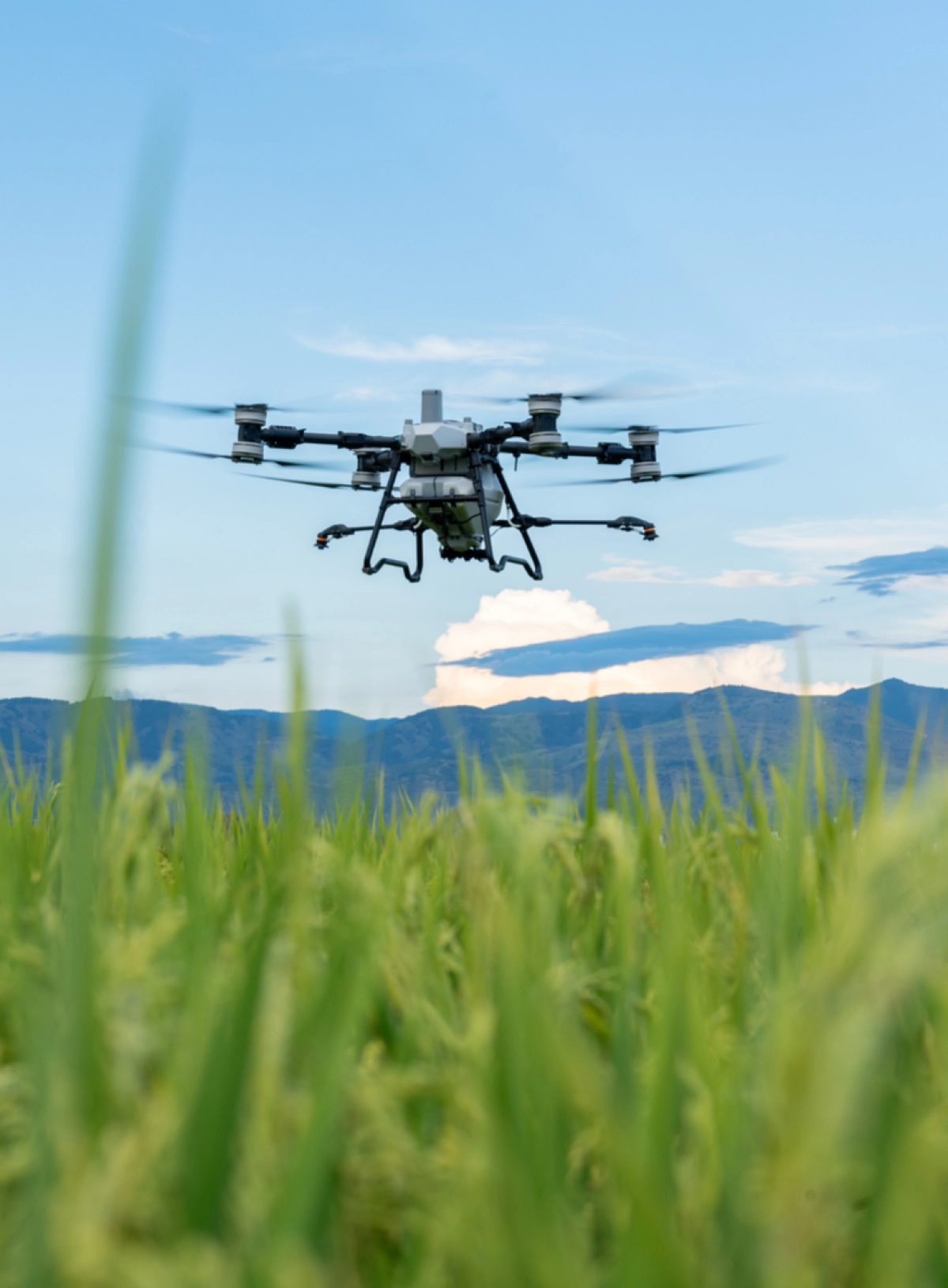 农业无人机行业白皮书（2024&2025）-大疆&农民日报_第5页