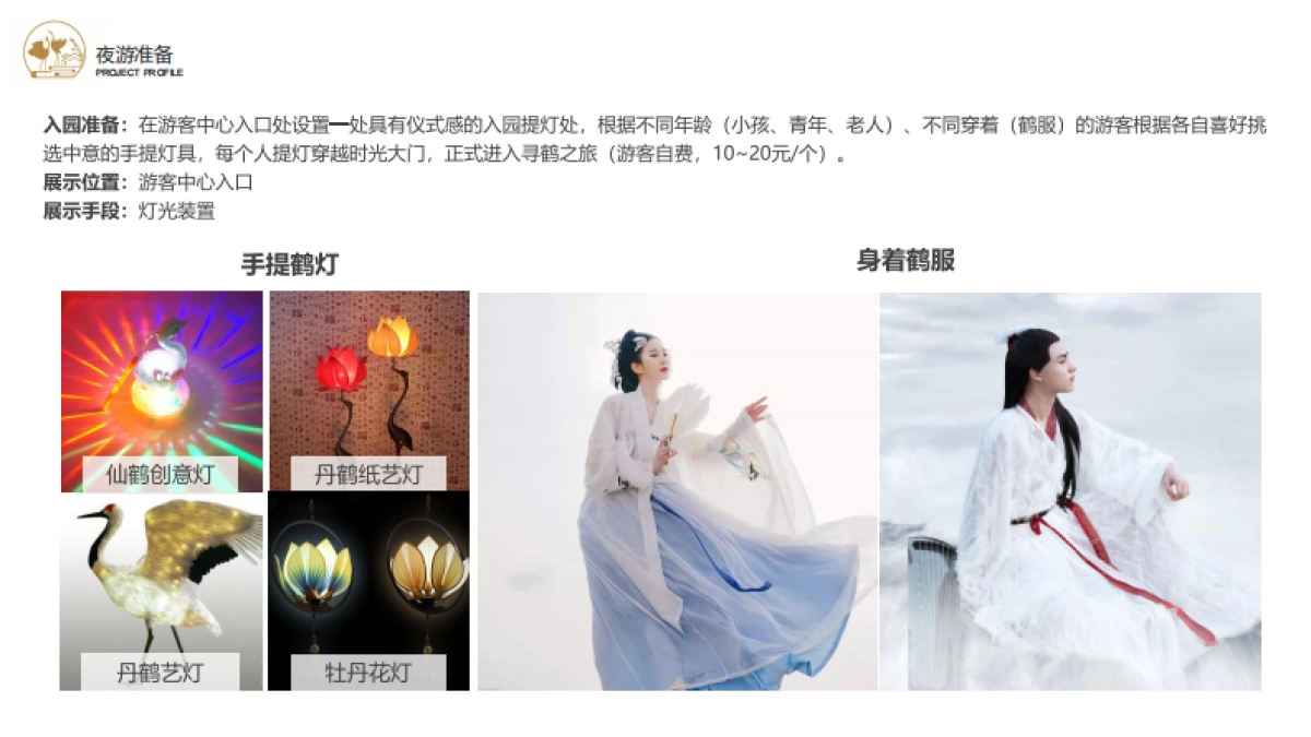 2024盐城丹顶鹤小镇主题夜游创意设计策划方案_第10页