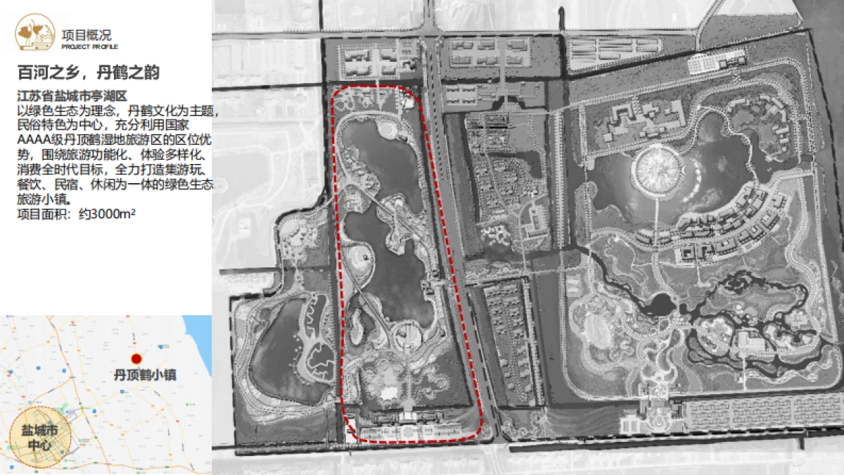 2024盐城丹顶鹤小镇主题夜游创意设计策划方案_第3页