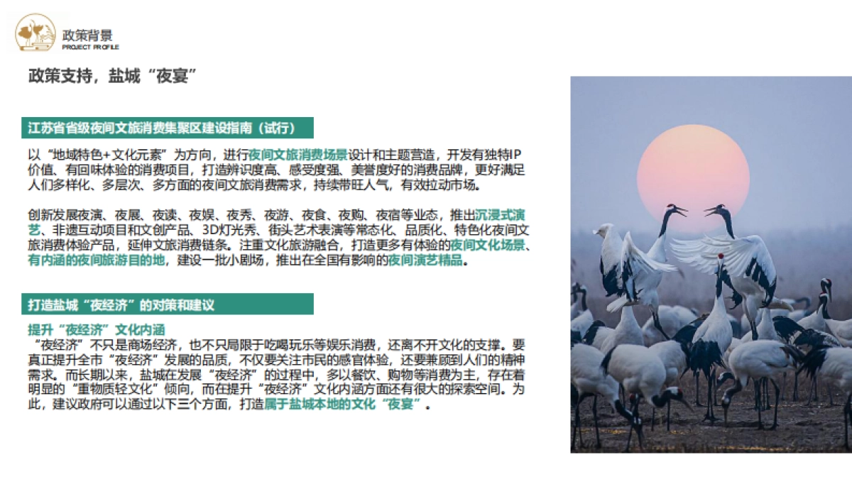 2024盐城丹顶鹤小镇主题夜游创意设计策划方案_第4页