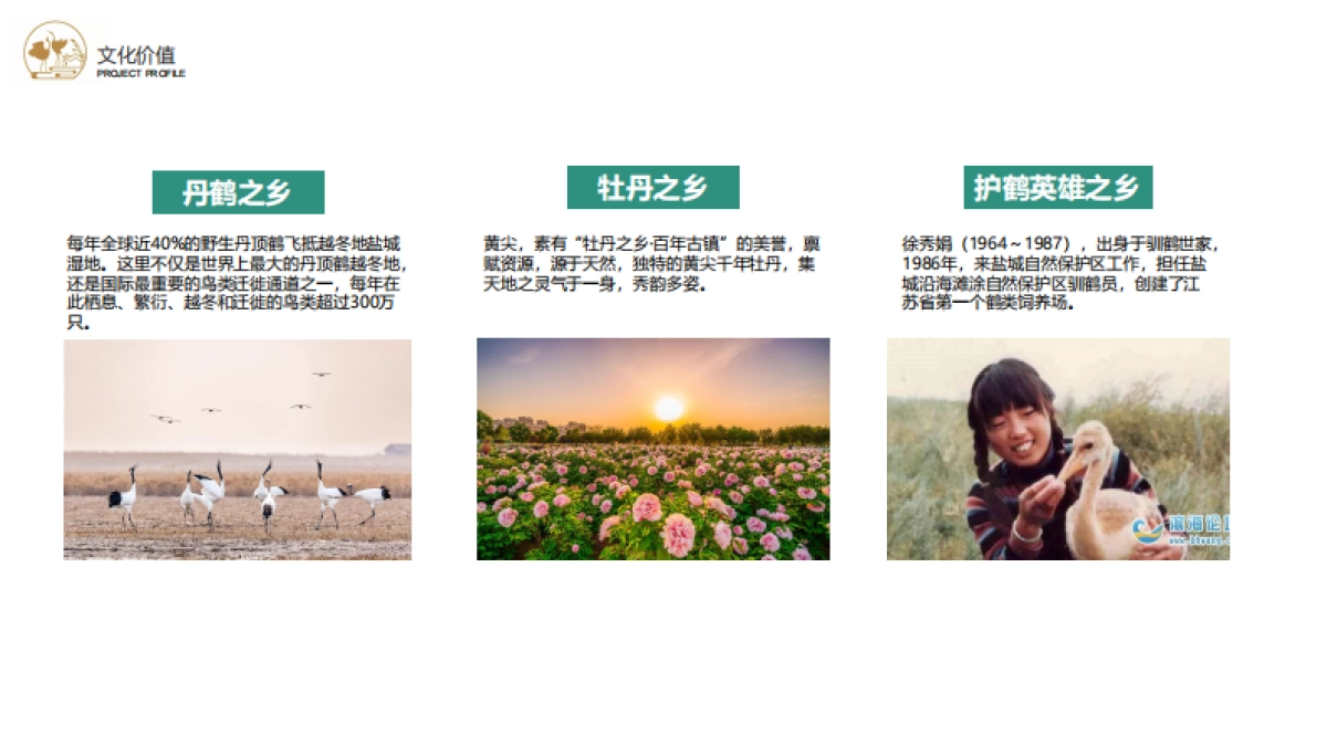 2024盐城丹顶鹤小镇主题夜游创意设计策划方案_第6页