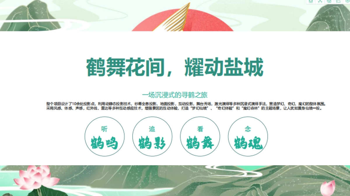 2024盐城丹顶鹤小镇主题夜游创意设计策划方案_第8页