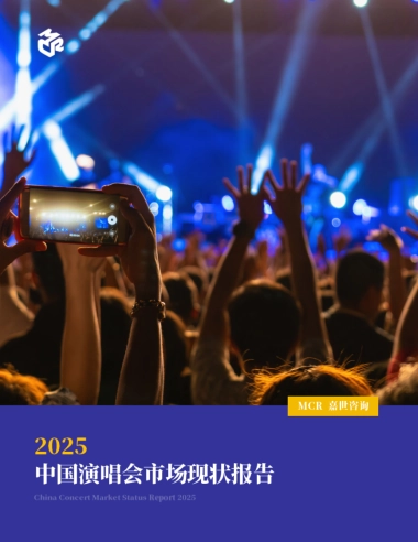 2025中国演唱会市场现状报告