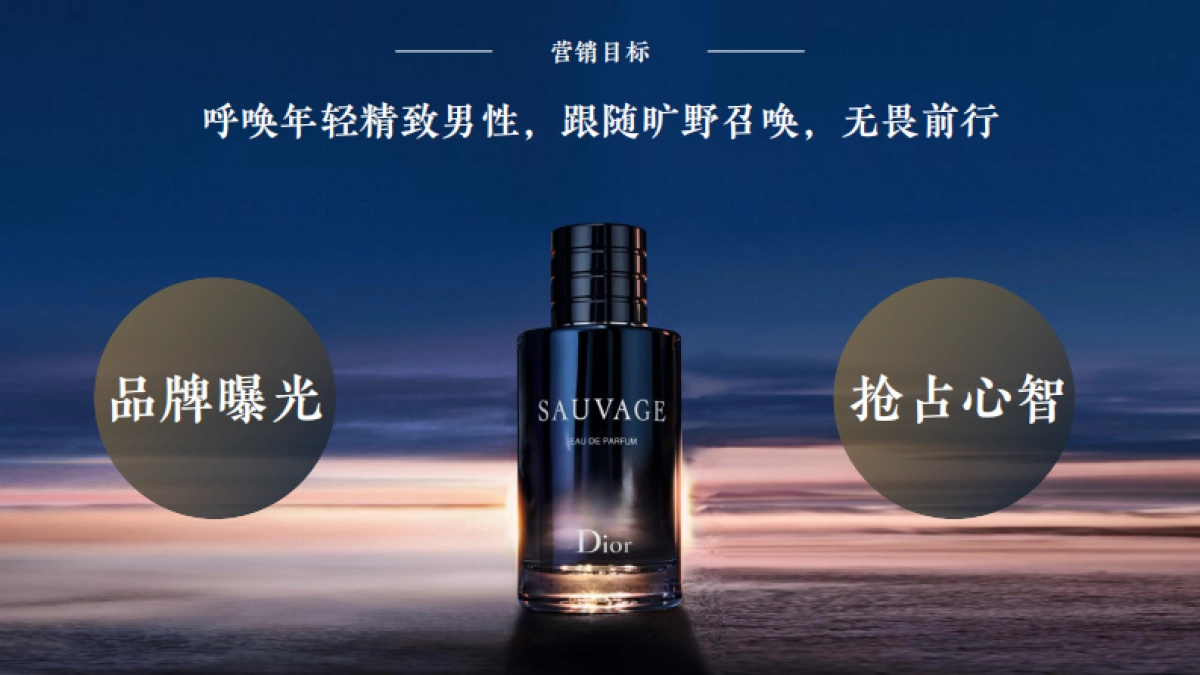 迪奥X小米商业，旷野召唤·感官世界_第4页