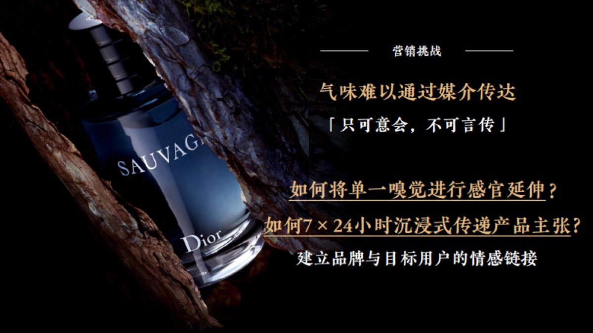 迪奥X小米商业，旷野召唤·感官世界_第5页