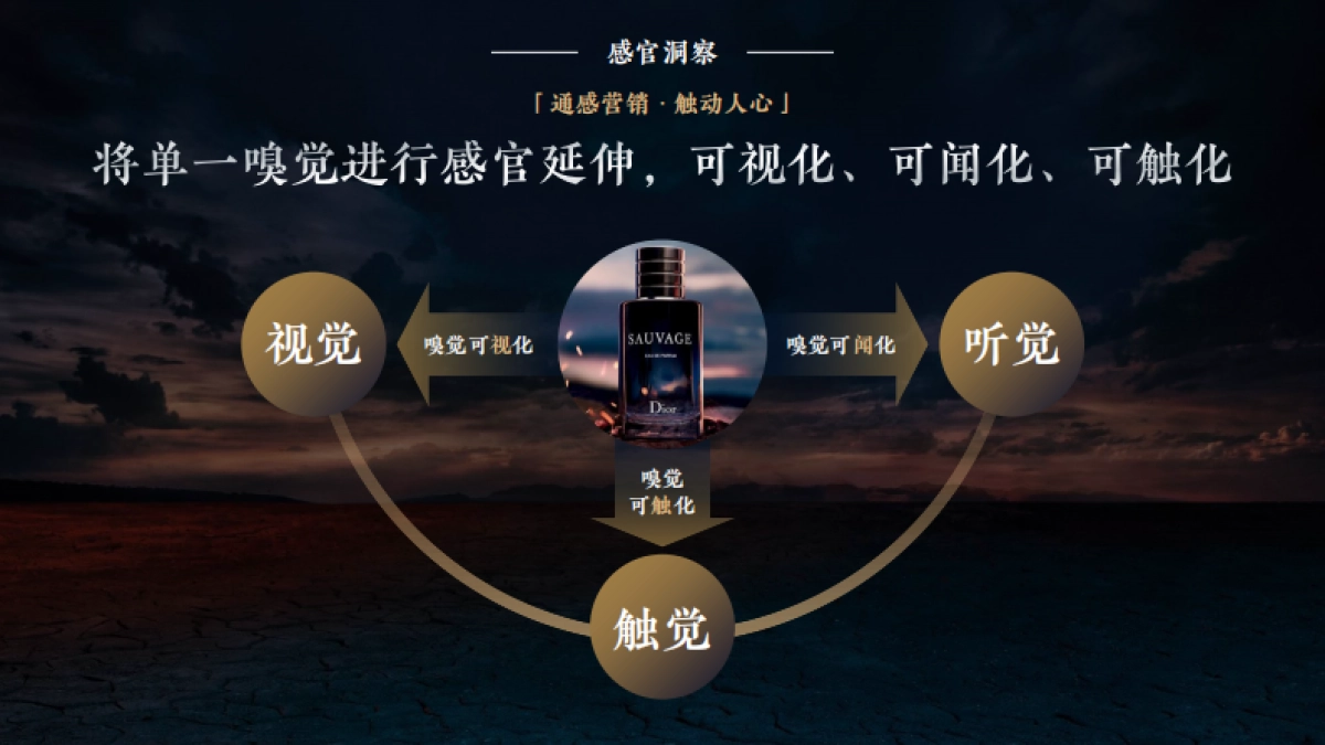 迪奥X小米商业，旷野召唤·感官世界_第6页