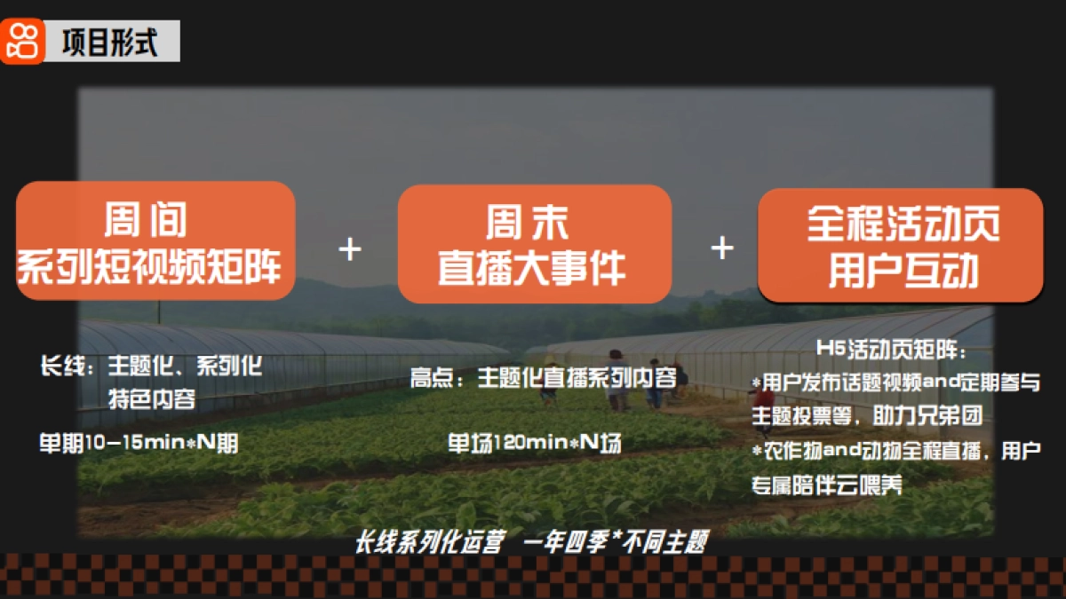 《大哥的大棚》策划案_第10页