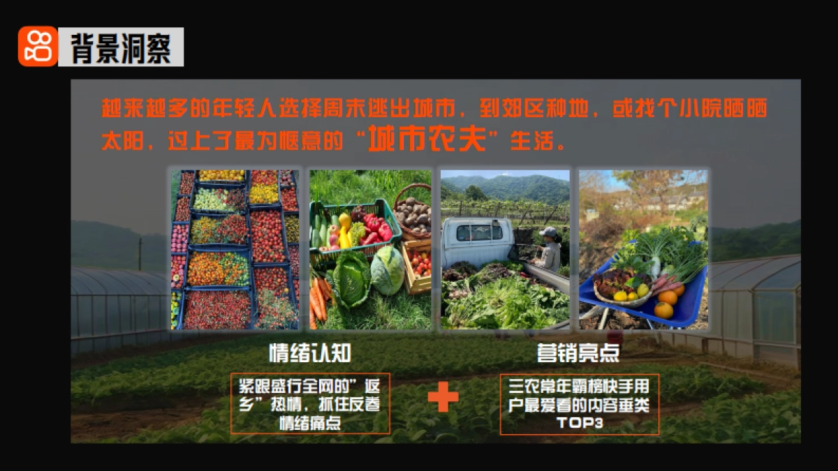 《大哥的大棚》策划案_第2页