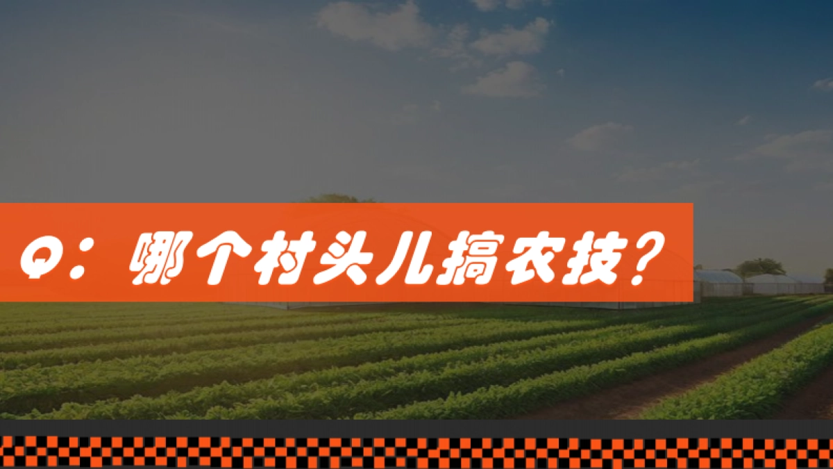 《大哥的大棚》策划案_第7页