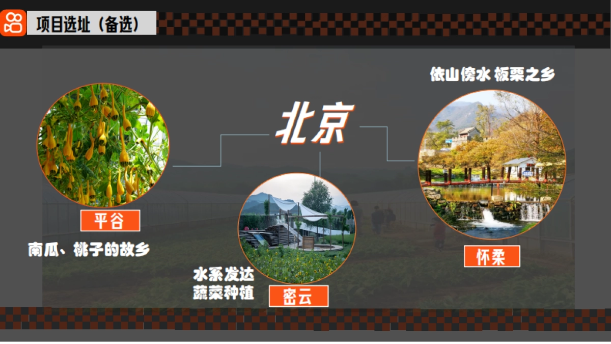 《大哥的大棚》策划案_第8页