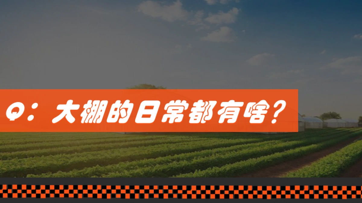 《大哥的大棚》策划案_第9页