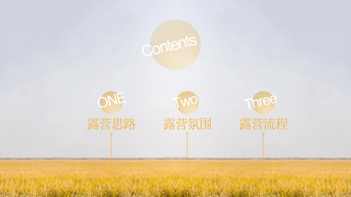 2025秋季亲子星光露营「向野而生 星光共眠主题」活动策划方案_第2页