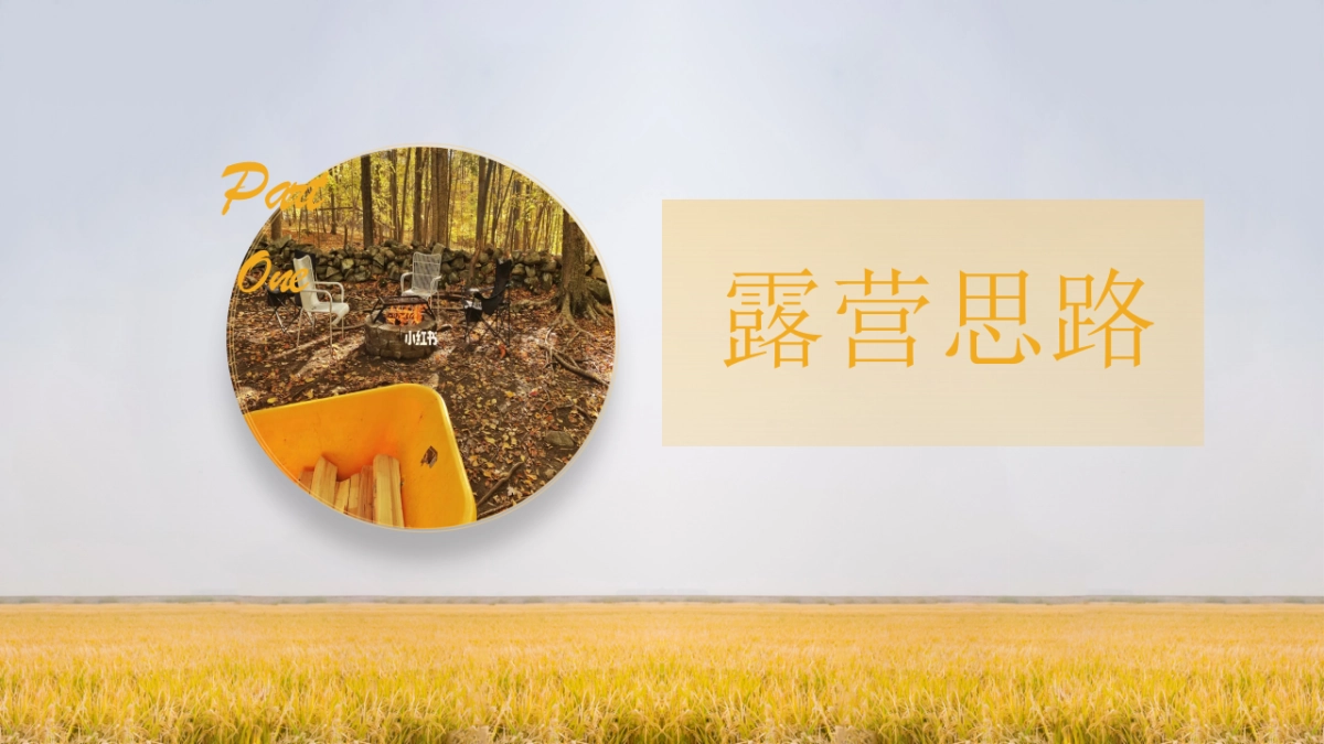 2025秋季亲子星光露营「向野而生 星光共眠主题」活动策划方案_第3页