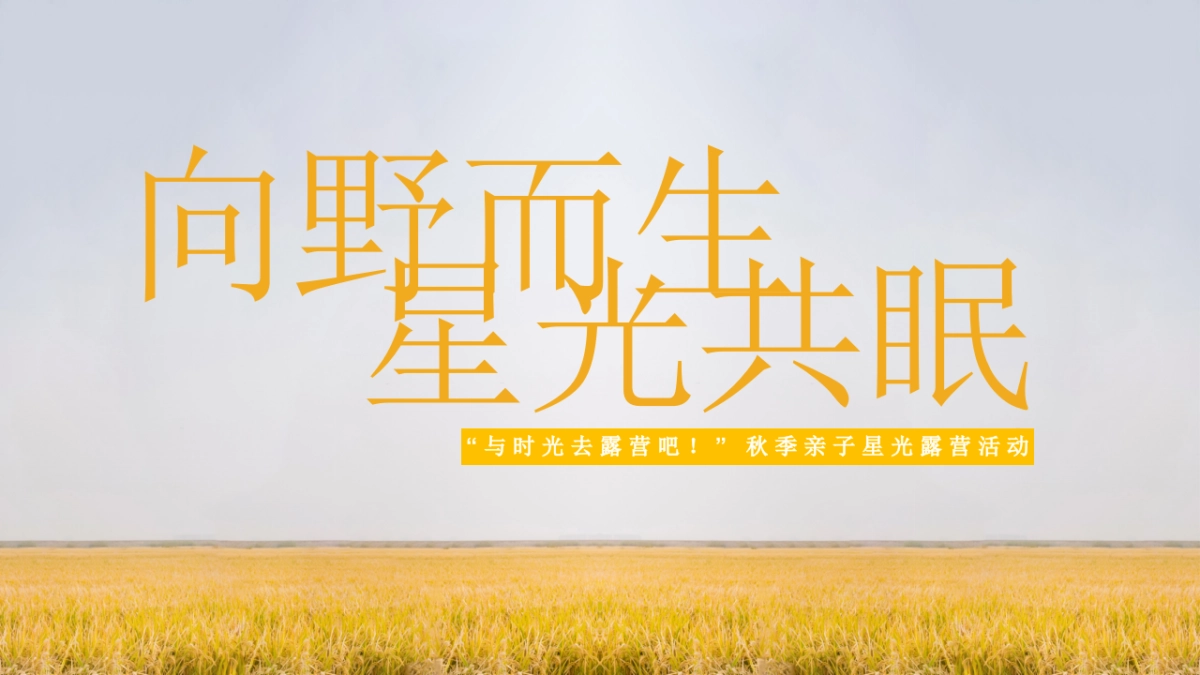 2025秋季亲子星光露营「向野而生 星光共眠主题」活动策划方案_第8页