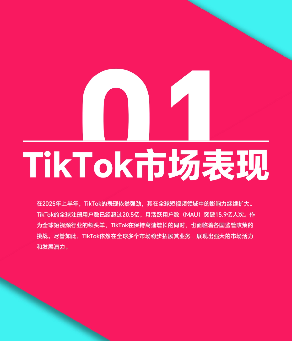 2025上半年TikTok Shop调研报告_第4页