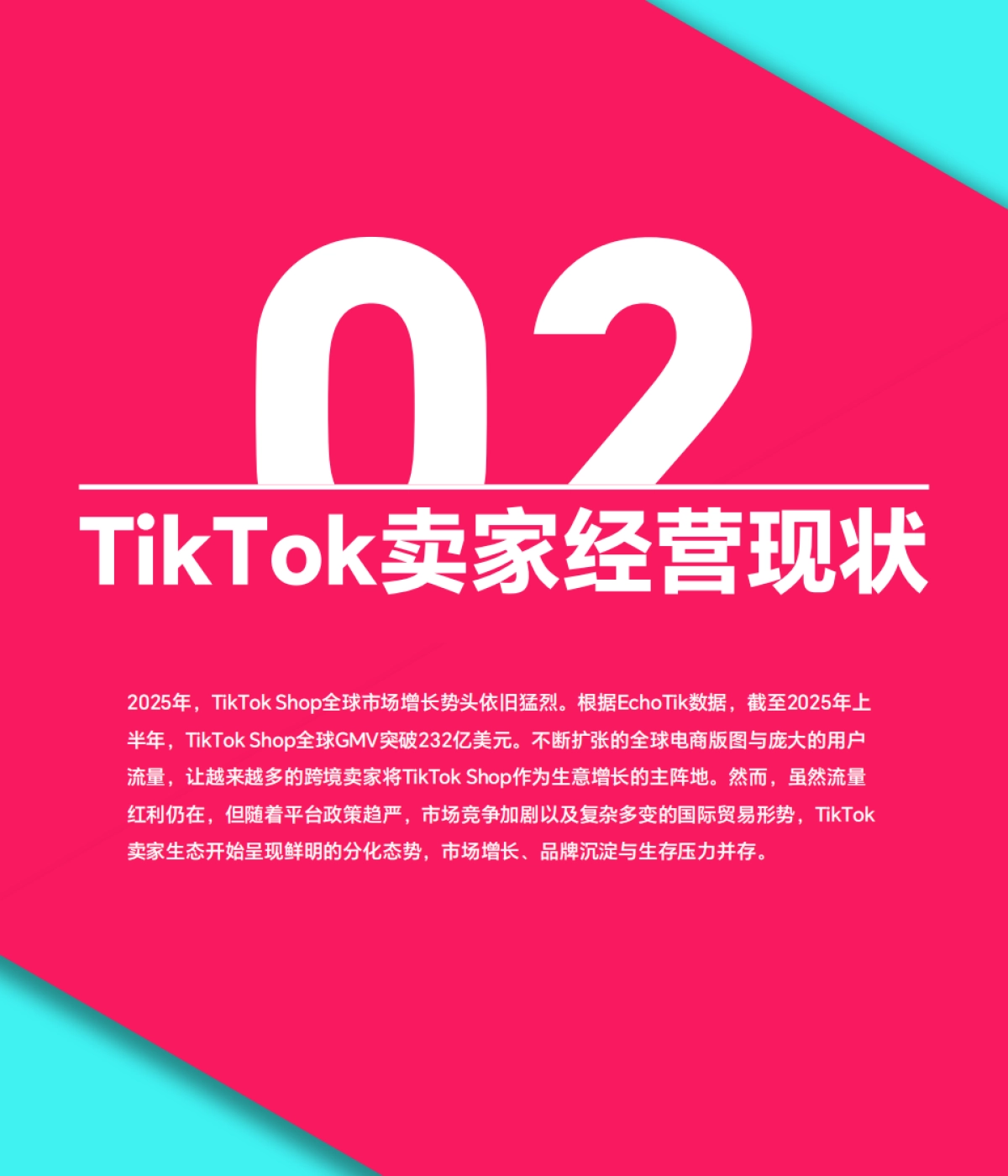 2025上半年TikTok Shop调研报告_第7页