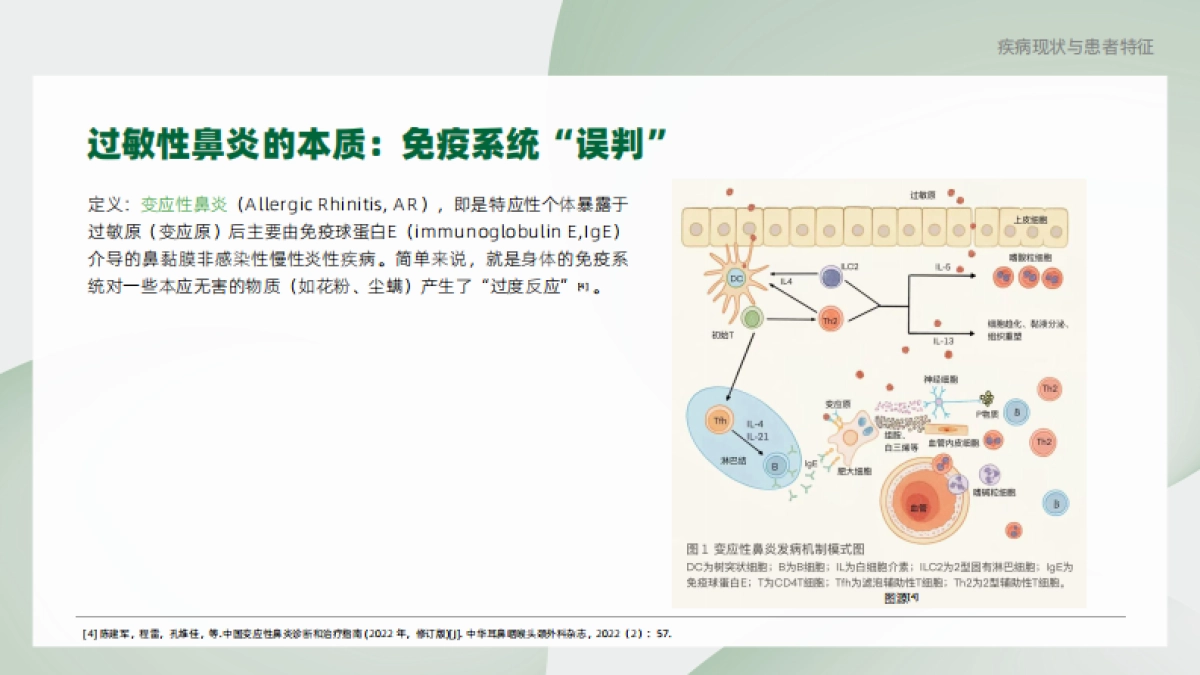 2025年过敏性鼻炎患者疾病认知与管理蓝皮书-腾讯新闻_第6页