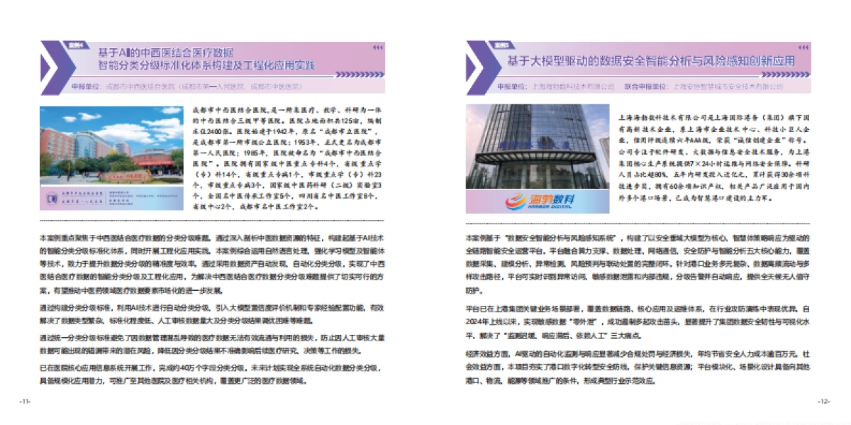 2025第八届数据要素与数据安全创新实践案例集-西湖论剑_第10页
