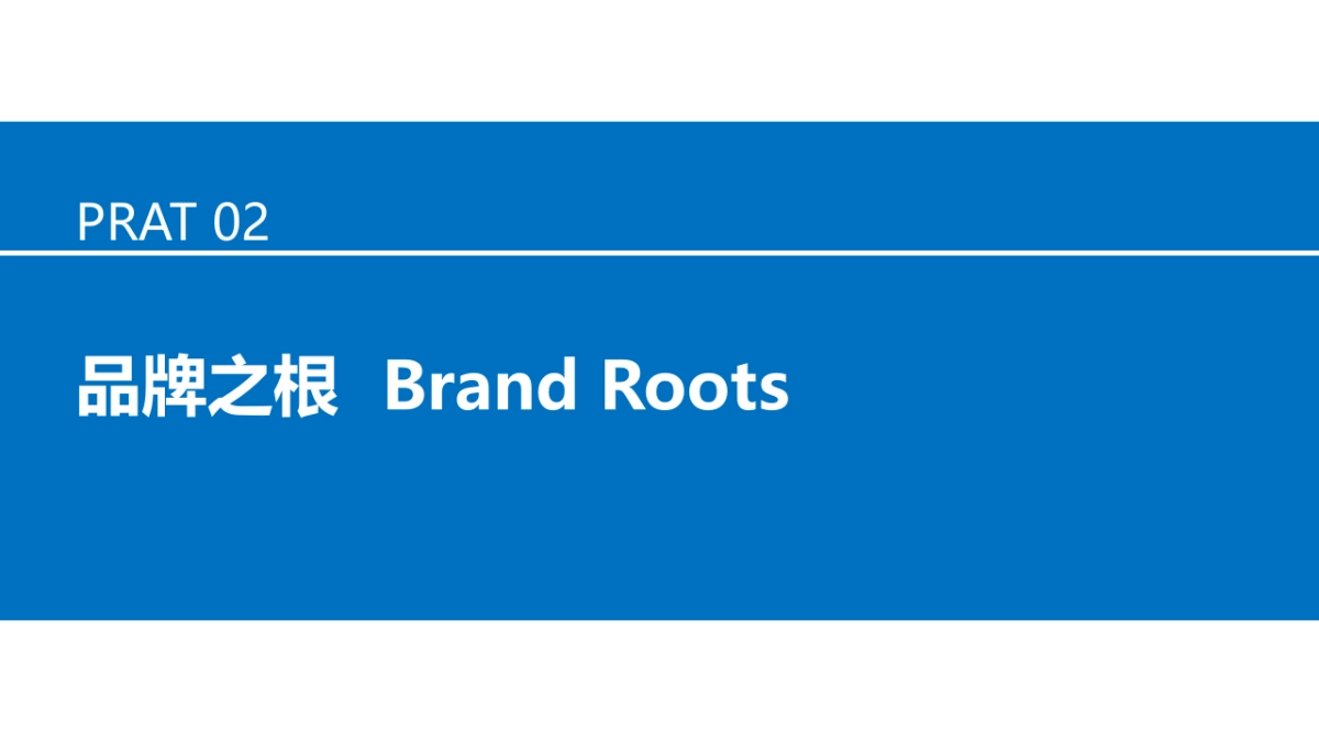 品牌建设术语释义手册(上)_第6页